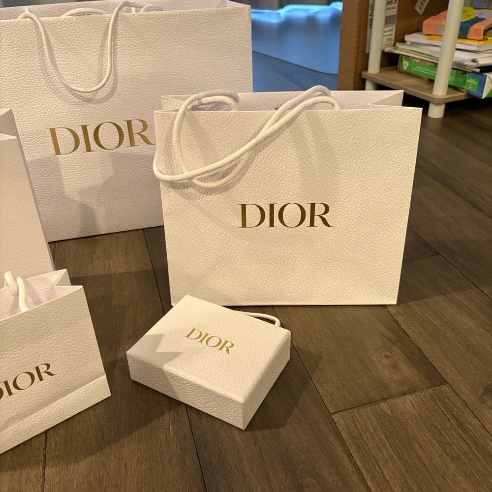 Dior Pebbled Bags from Nordstrom Roosevelt Field in Long Island, New York ~ New - Picture 3 of 7